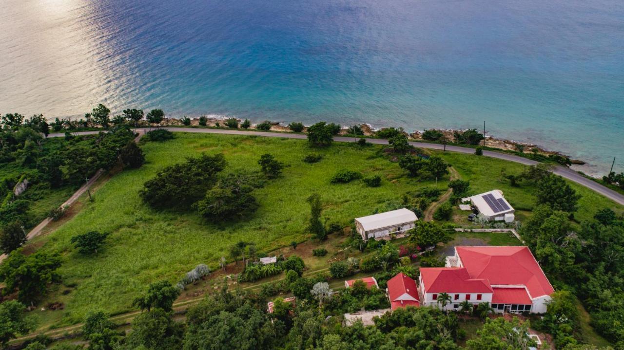 Feather Leaf Inn Frederiksted Exterior photo